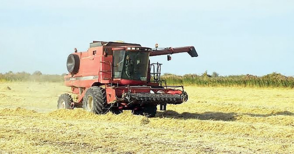 Дала жұмысына дайындық қалай?