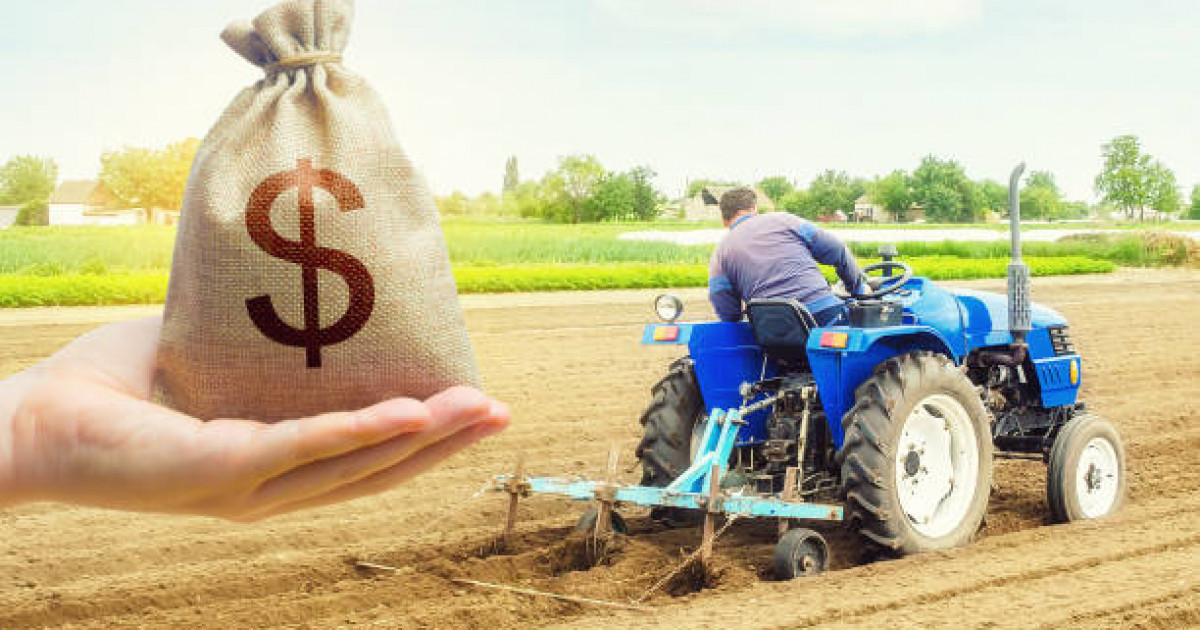 Фермерлерге Әлеуметтік-кәсіпкерлік корпорациялар арқылы жеңілдетілген несие беріледі