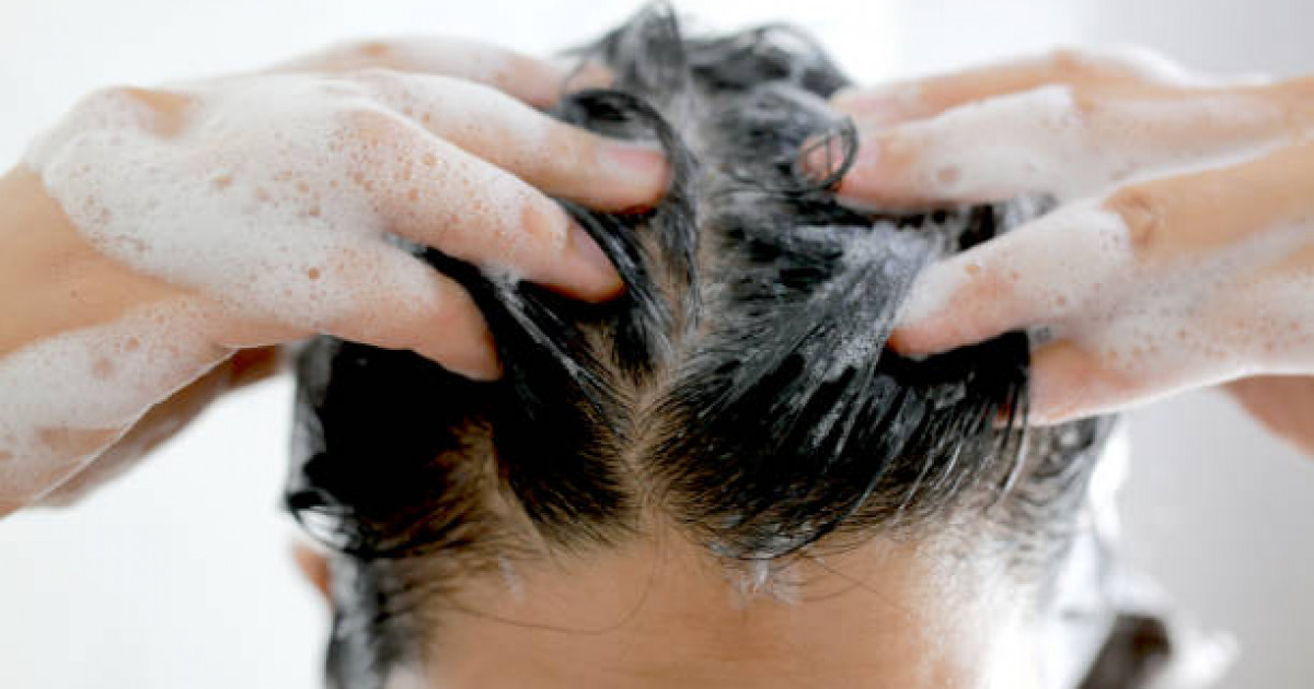 Шаш тез майланып кетпес үшін қалай жуған дұрыс?