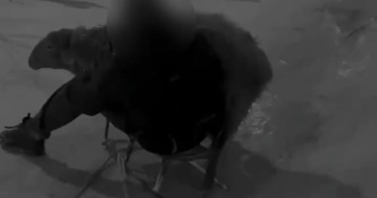 Ақтауда қойды шанаға салып ойнағандардың видеосы тарады