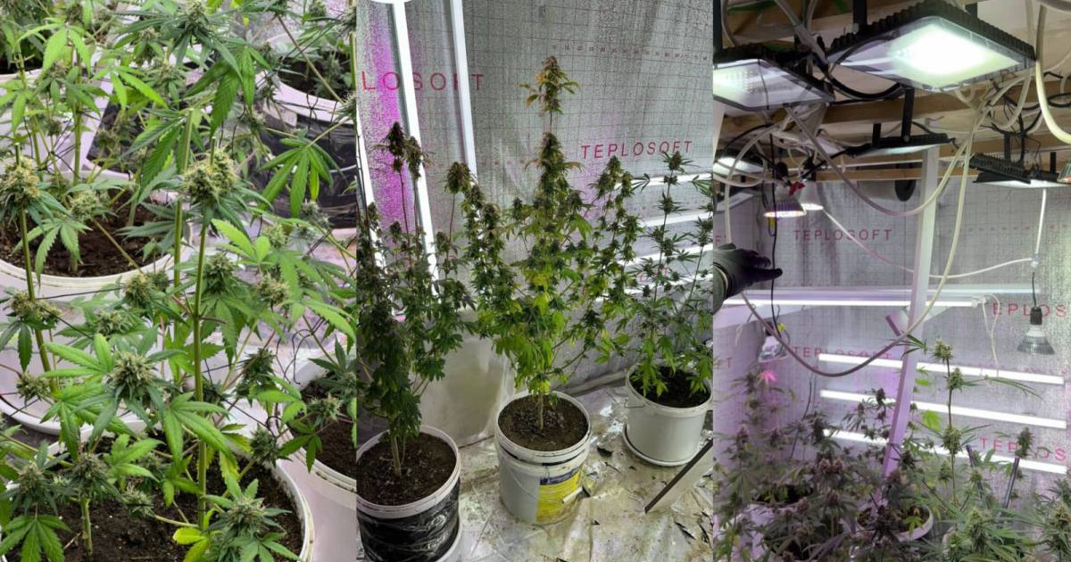 Ақтауда жасырын есірткі зертханасы табылды