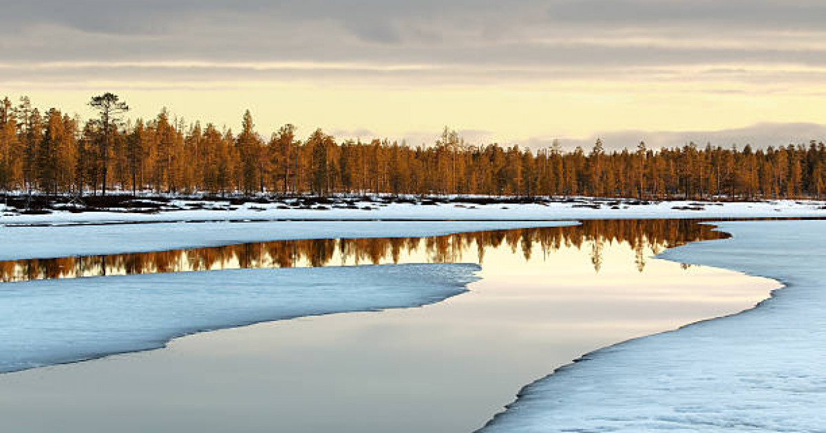 Батыс Қазақстан облысында еріген қар суын бұру жалғасып жатыр