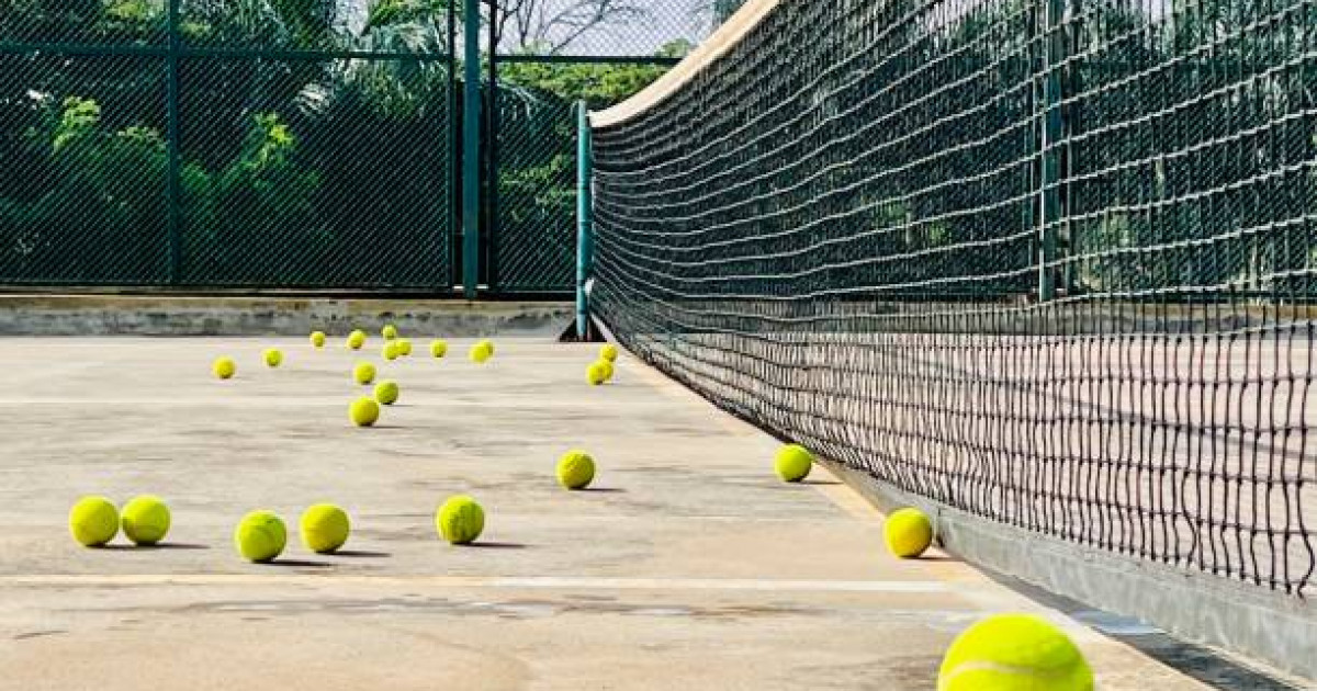 Елена Рыбакинаның қанша табыс табатыны белгілі болды