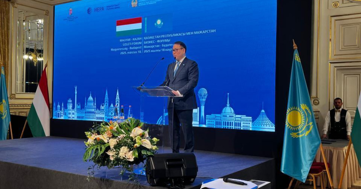 Қазақстандық кәсіпорындар мен венгриялық сатып алушылар арасында тікелей байланыс орнатылады