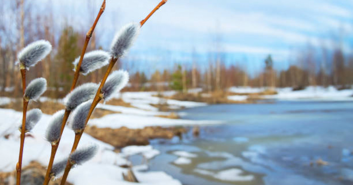 Қостанайдағы Жітіқара ауданының көшелерін су шайып өтті