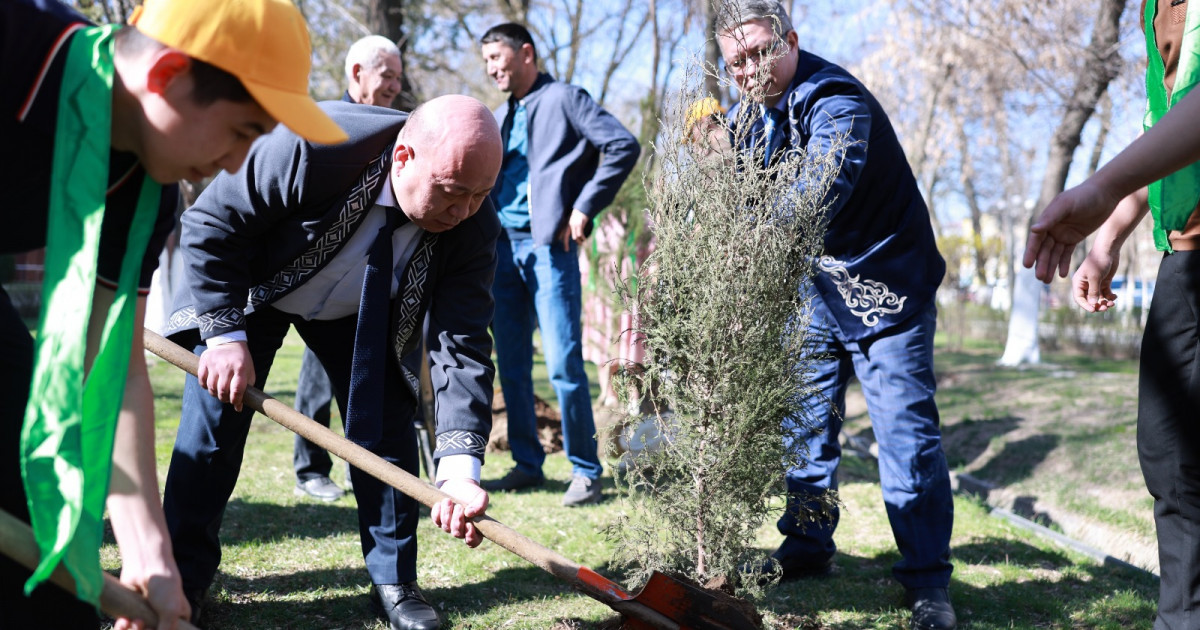 Жаңару күні: М.Әуезов атындағы оқу орнының ұжымы ағаш отырғызды