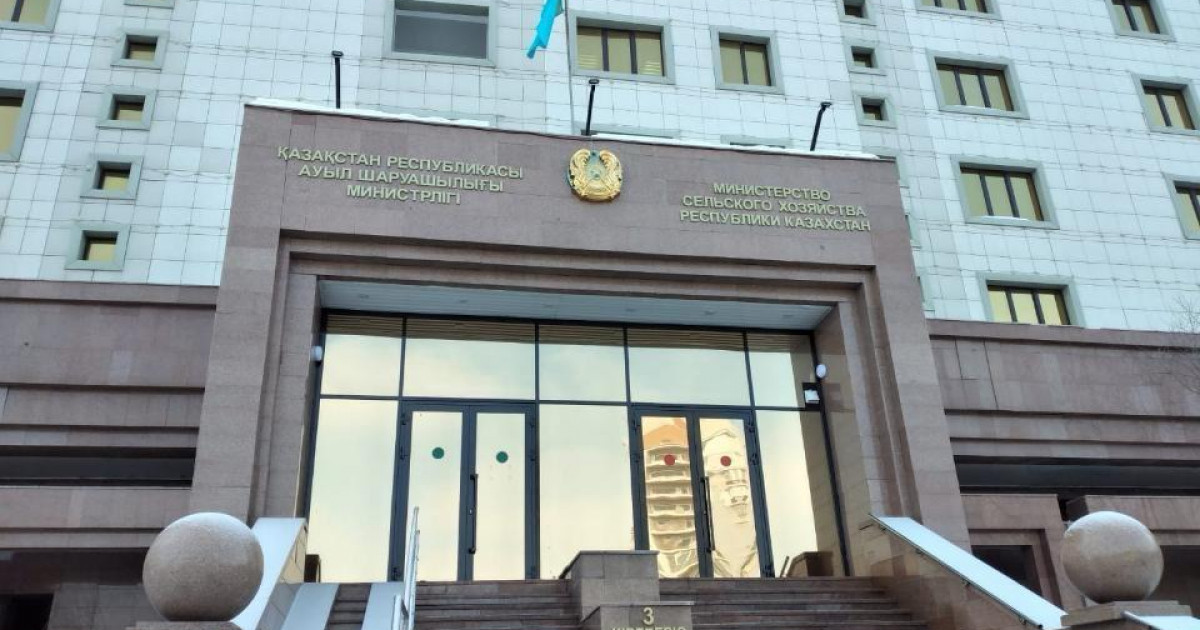 9 сәуірден бастап Қазақстанға тауық жұмыртқасын әкелуге тыйым салынды