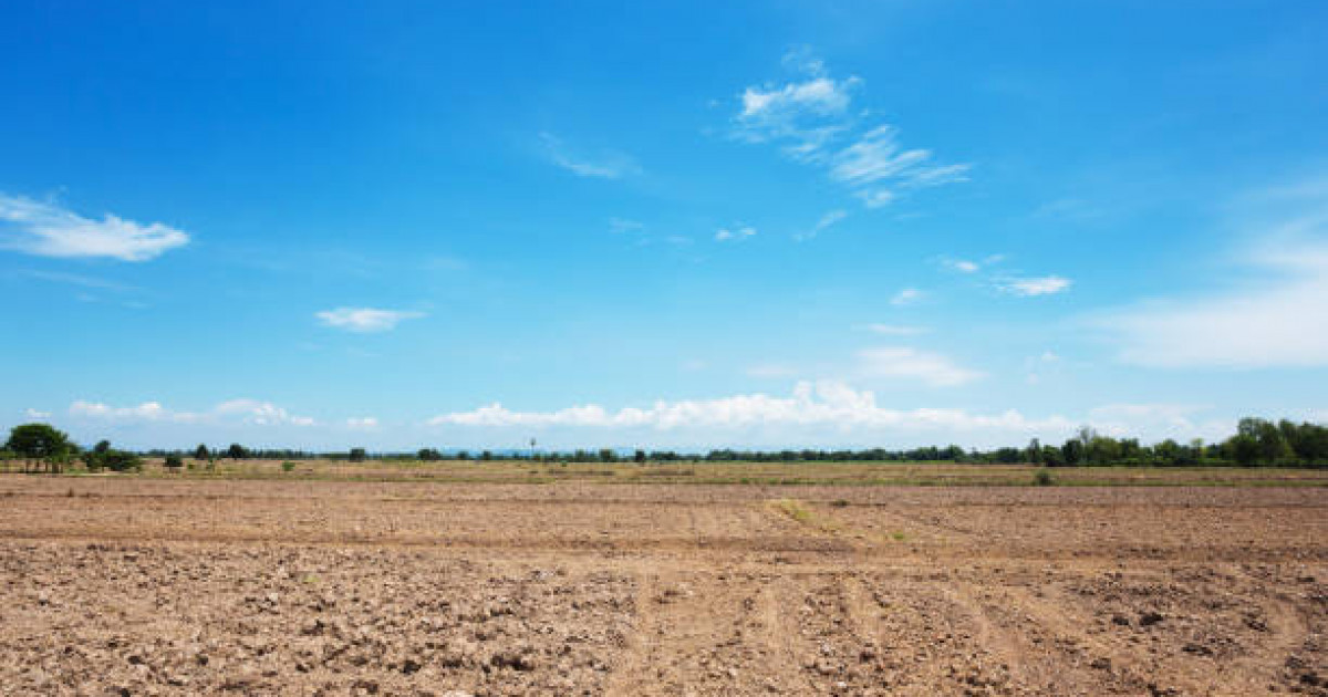 Құны 6,4 миллион теңгеден асатын жер учаскесі мемлекет меншігіне қайтарылды