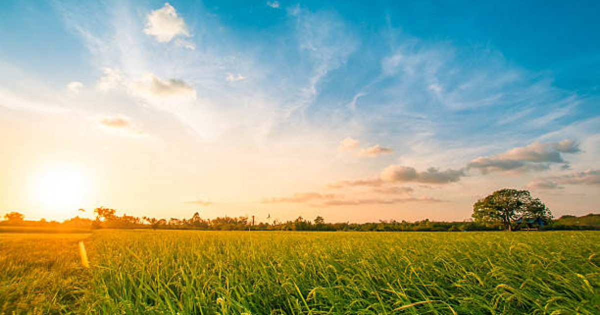 Тарихи деректерде қазақ жері туралы не жазылған?