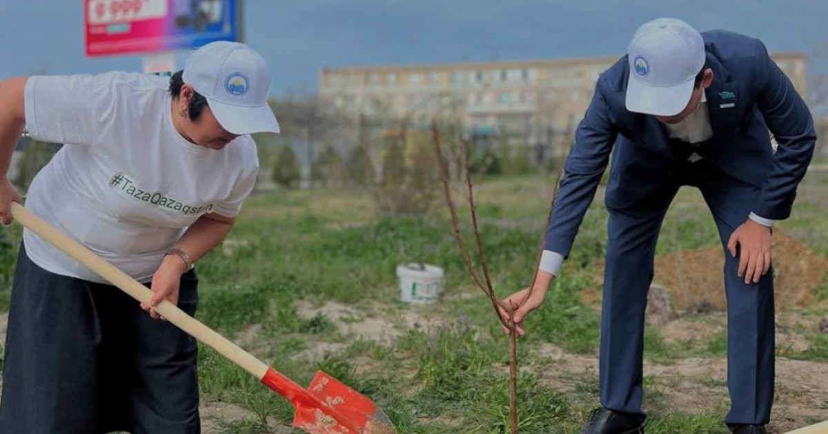 «Таза бейсенбі»: өңірлерде көгалдандыру жұмысы басталды