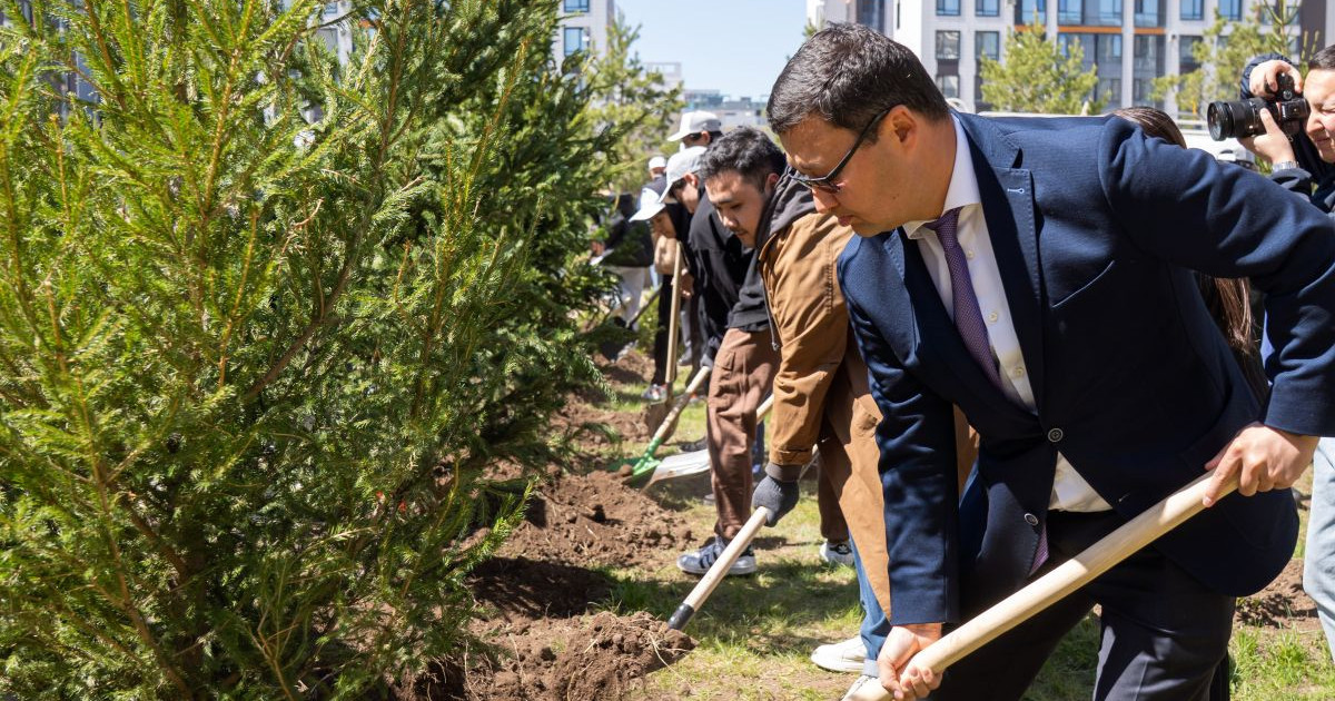 Turaqty jol жобасы: Қазақ ұлттық хореография академиясының аумағында ағаш отырғызылды