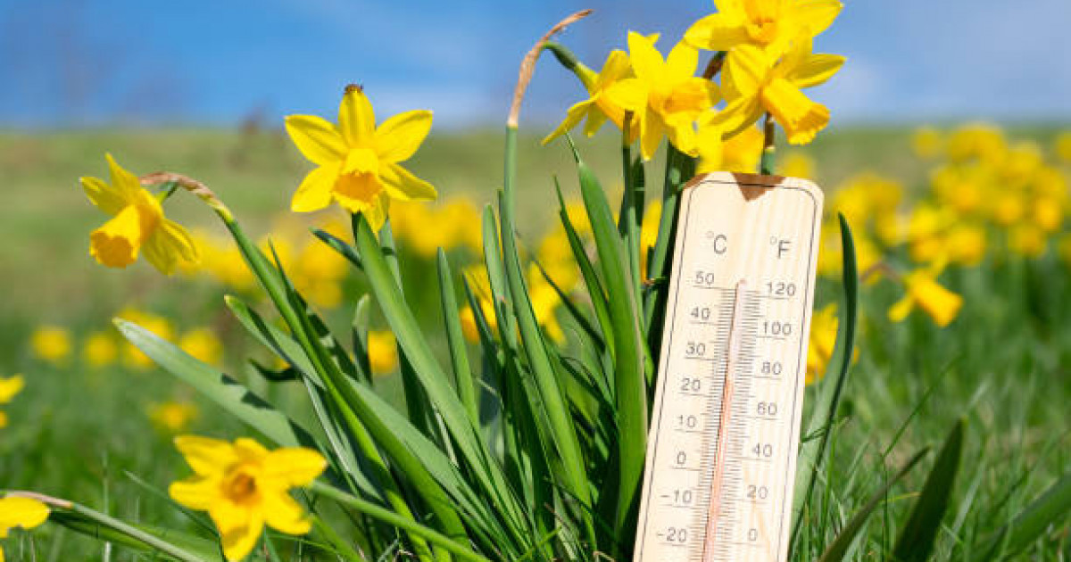 Алдағы үш күнге ауа райы болжамы