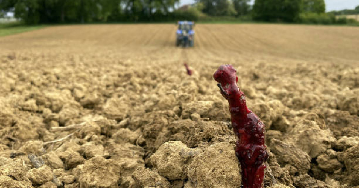 Астықты аймақ алаңдап отыр