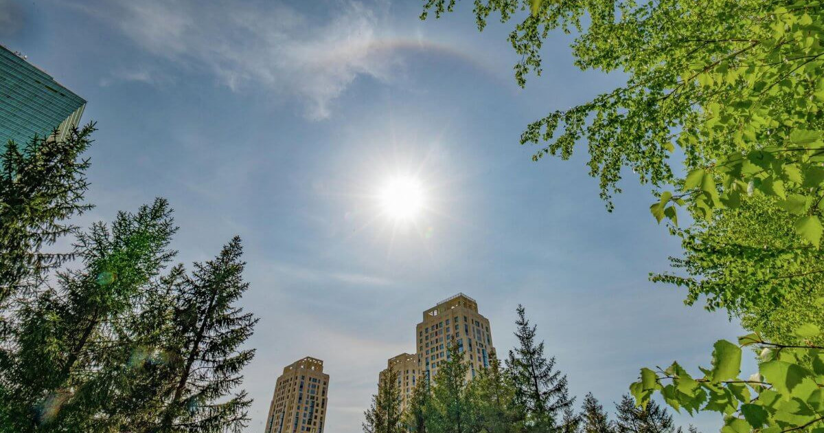 Биыл тарихтағы ең ыстық жаз болуы мүмкін