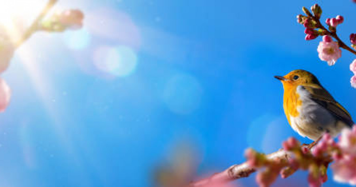 Дауылды ескерту: бүгін елімізде шаңды дауыл мен қатты ыстық болады