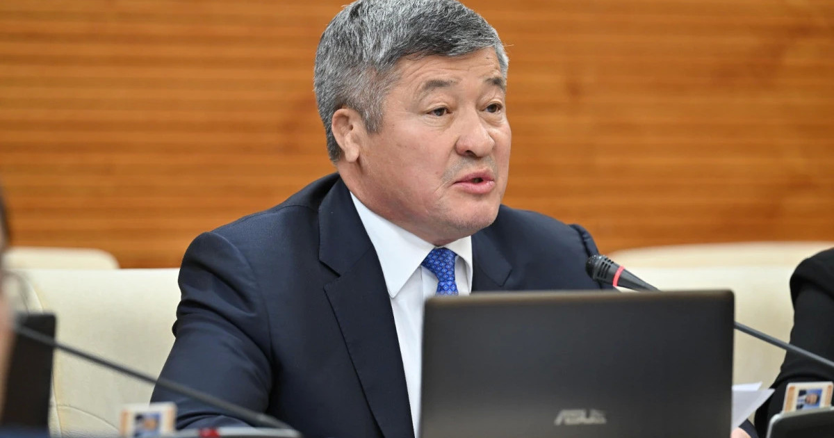 Депутат Үкіметтен электр энергиясын стратегиялық тауарлар тізіміне қосуды сұрады