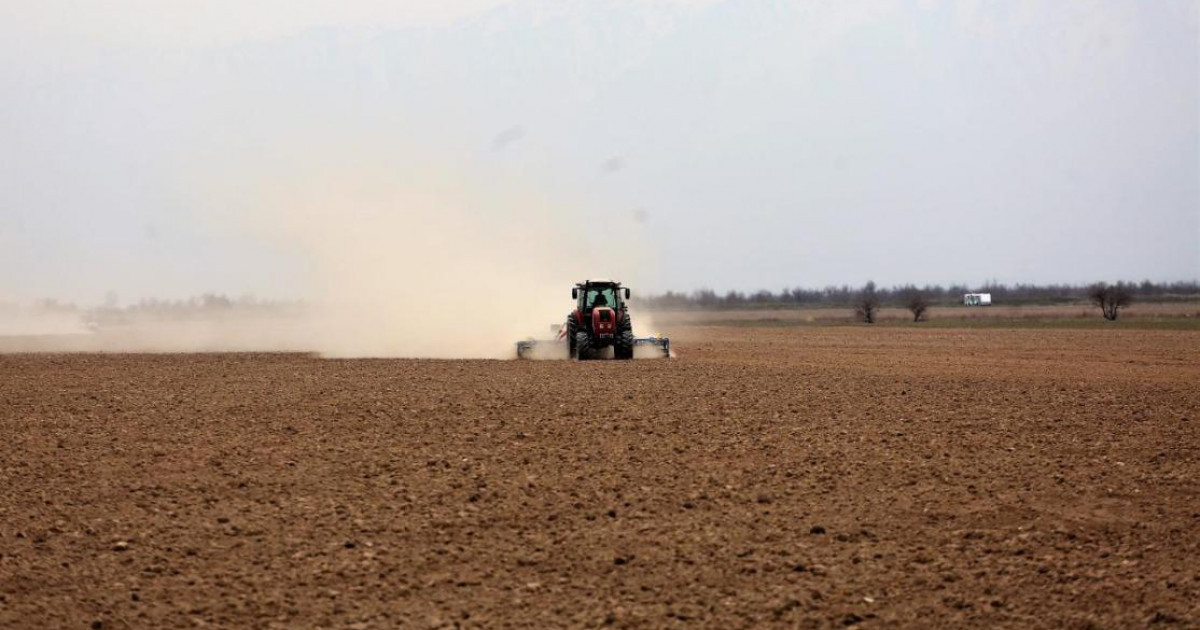 Оңтүстікте егіс науқаны аяқталып жатыр