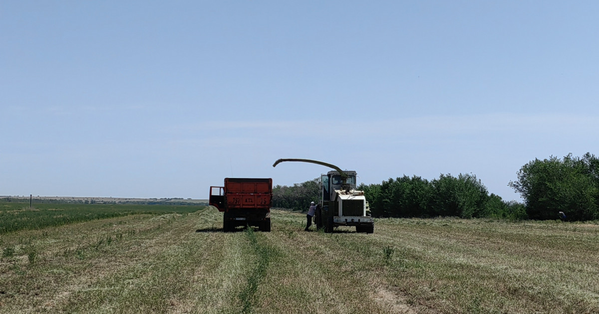 «ҚазАгроҚаржының» қолдауы: Оңтүстіктегі шаруалар 7,3 миллиард теңгеге техника паркін жаңартты