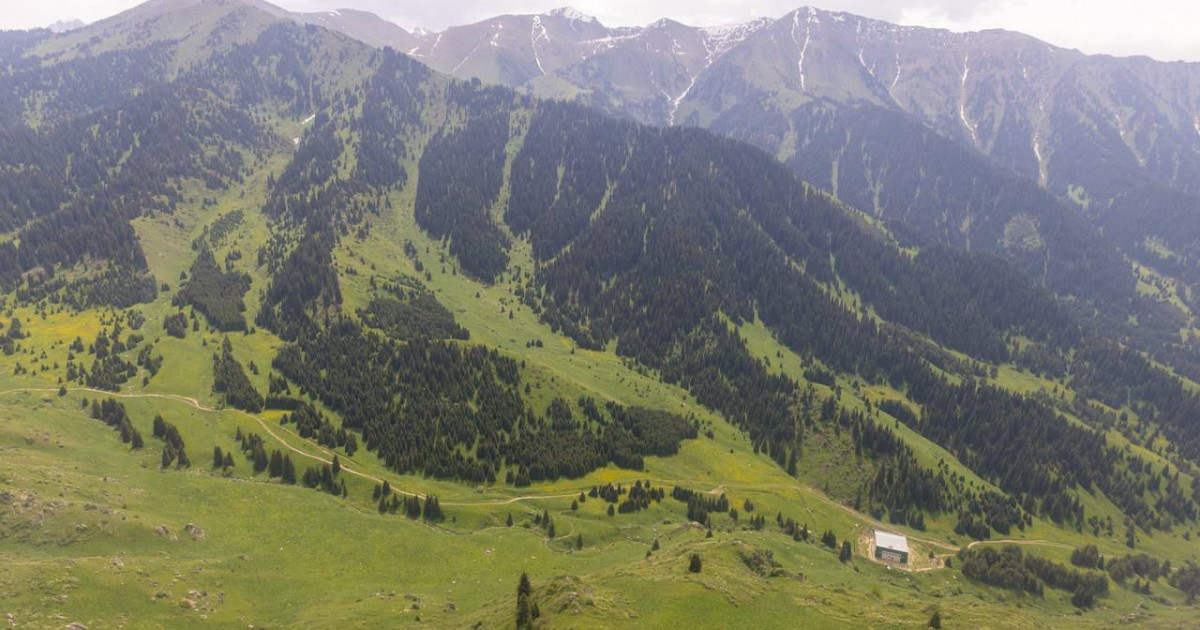 Көкжайлау алқабы: «Экожүйені бұзбай, табиғатты сақтаймыз»