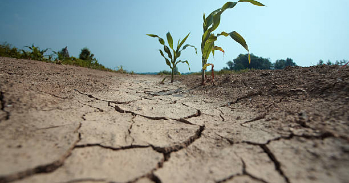 Синоптиктер құрғақшылық болатын өңірлерді айтты