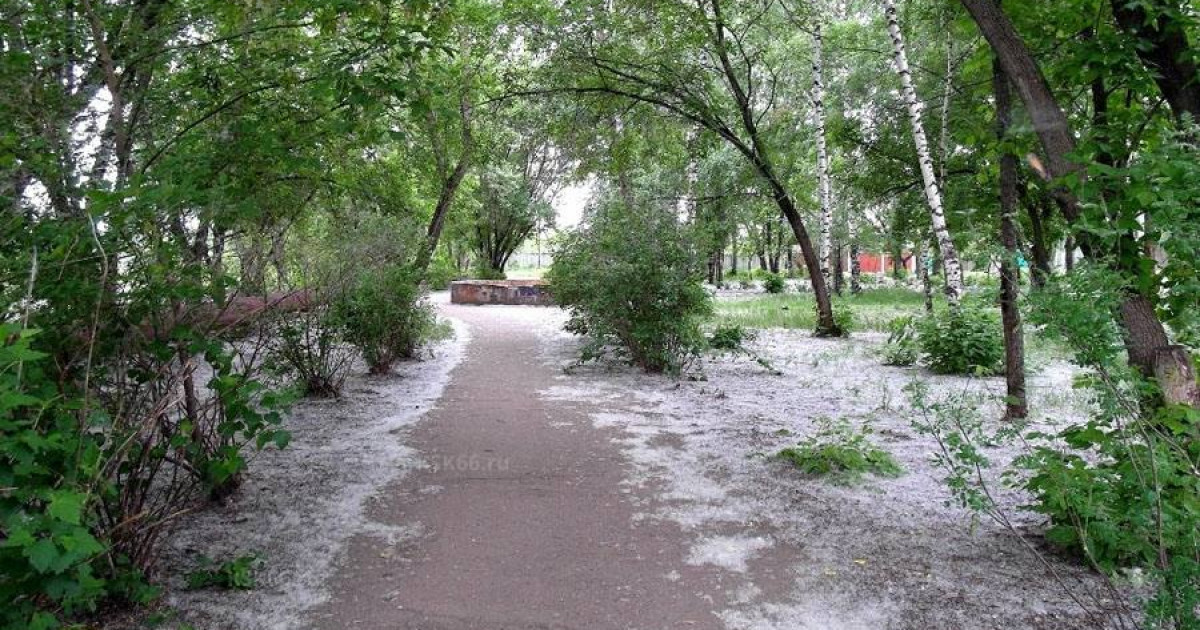 Төтенше жағдайлар министрлігі терек мамығының қауіптілігі туралы ескерту жариялады