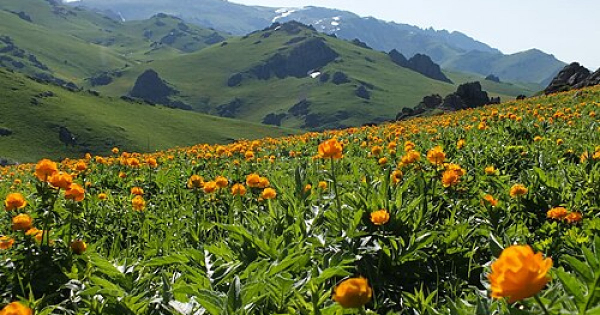 Туристер ең аз баратын ТОП-5 ерекше бағыт