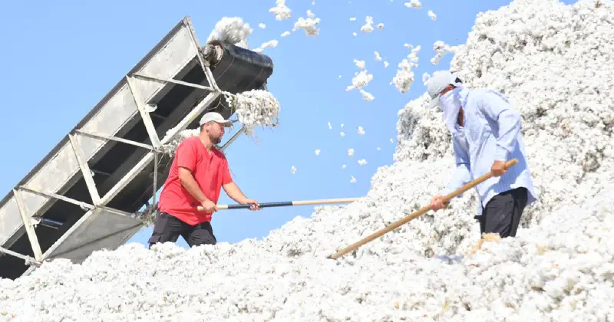 Түркістан облысында 2 мақта зауыты салынады