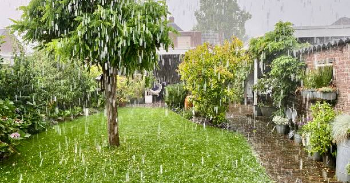 40 градус ыстық болады, бұршақ жауады: 14 маусымға ауа райы болжамы