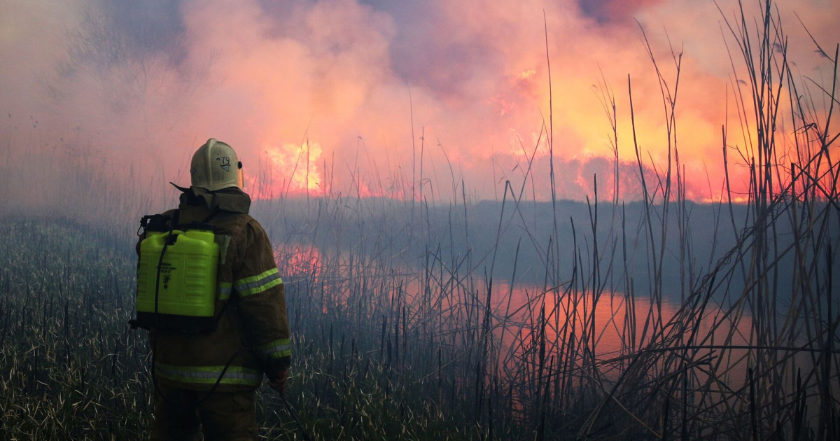 Атырау облысында қамыс өртеніп жатыр