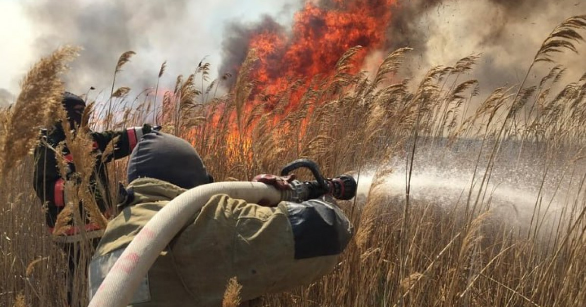 Атырау облысындағы «Ақ Жайық» резерватында қамыс өртеніп жатыр