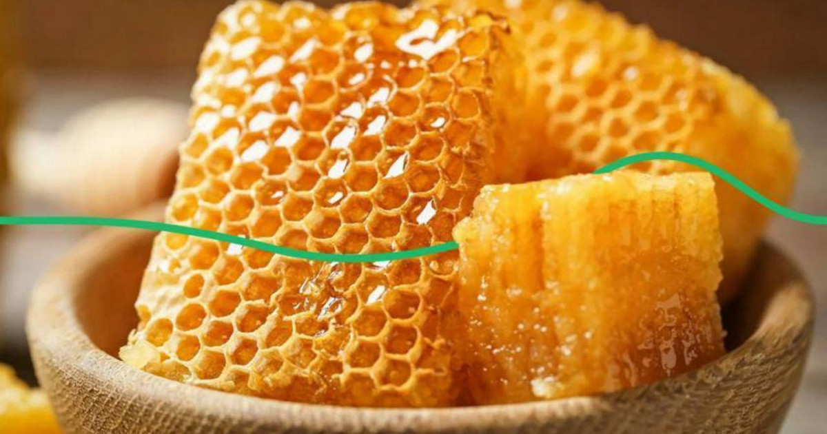 Еліміздегі ара шаруашылығы кәсіпорны алғаш рет Еуропалық Одақтың тізіліміне енгізілді