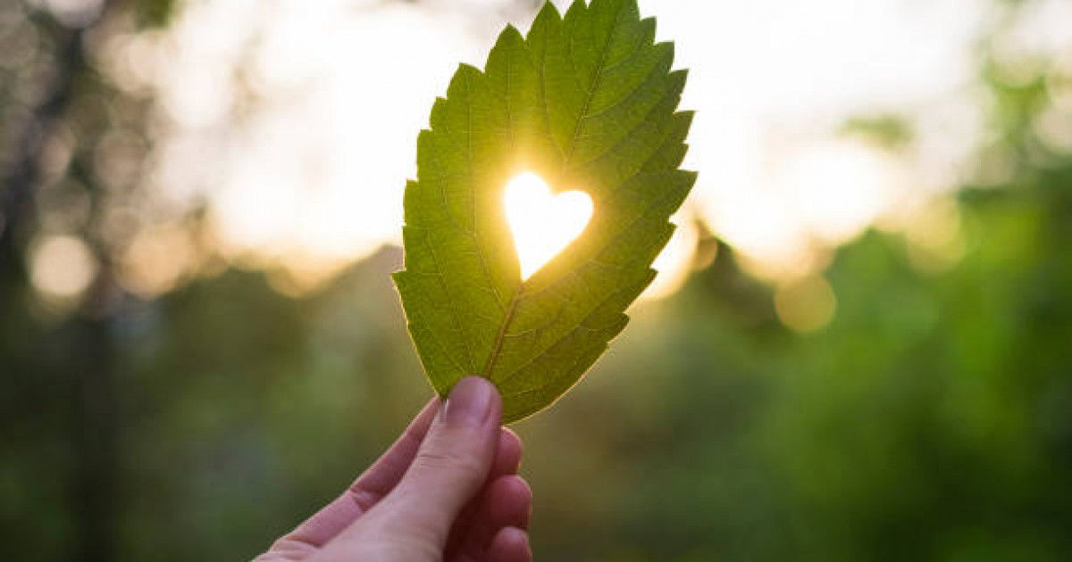 Қазақстанда маусым айында ауа райы қандай болады?