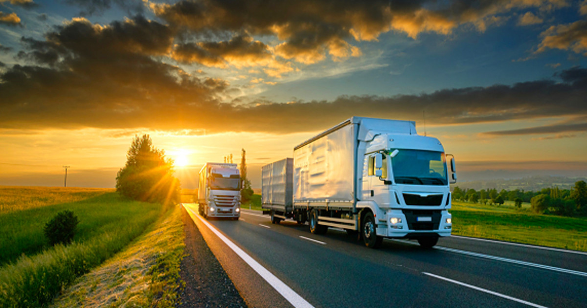 Көлік құжаттарын басқарудың бірыңғай жүйесінде міндетті тіркеу уақытша тоқтады