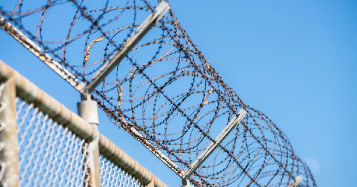 Конституцияның 30 жылдығына байланысты қанша адам түрмеден бостандыққа шығады?