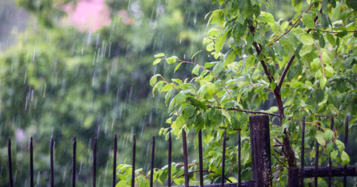 Күн райы күрт бұзылады: 12 маусымға арналған ауа райы болжамы