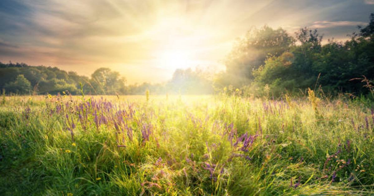 Шілденің алғашқы күндері Қазақстанда ауа райы қандай болады?