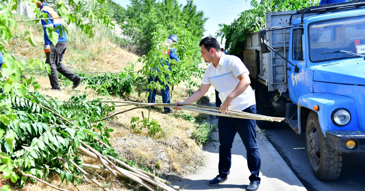 «Таза бейсенбі»: партиялықтар мен еріктілер 600-ден астам аумақты қоқыстан тазартты