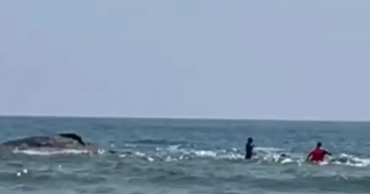 ТЖМ қызметкерлері Каспий жағалауында жасөспірімді құтқарды