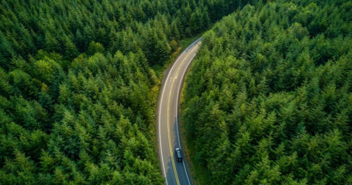 АҚШ-тағы орташа жалақыға 6 мың литр, Қазақстанда 1 430 литр бензин сатып аласыз