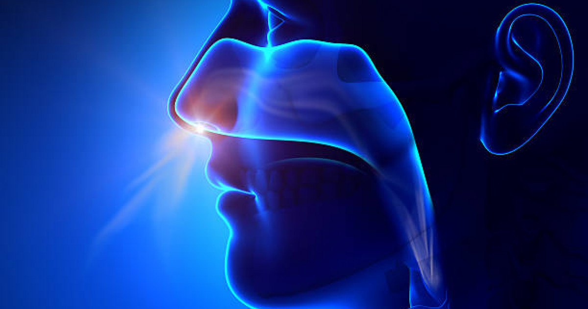 Аллергиялық ринитпен қалай күресуге болады?