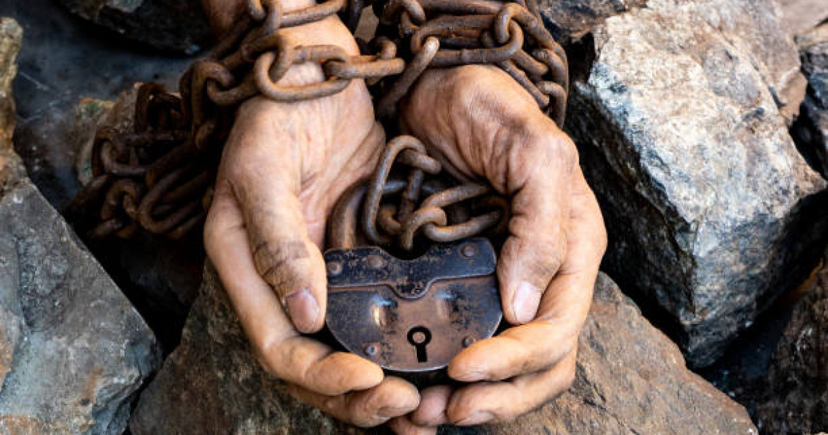 Қайта қарау порно фильм секс адамдар бар жаратылыстар жоқ catage онлайн