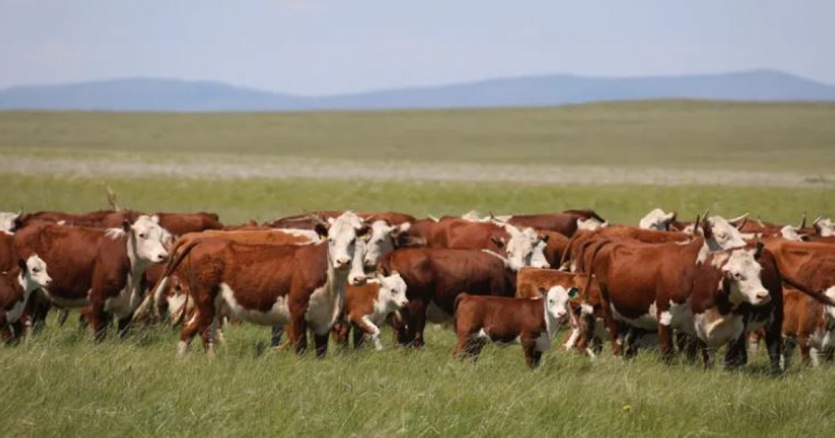 Ауыл шаруашылығы санағы өтеді