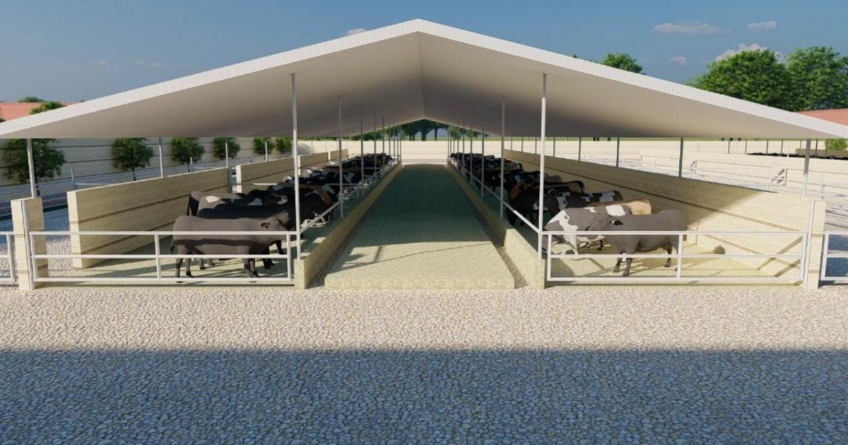 Ірі мал бордақылауға арналған инвестициялық жоба іске қосылды