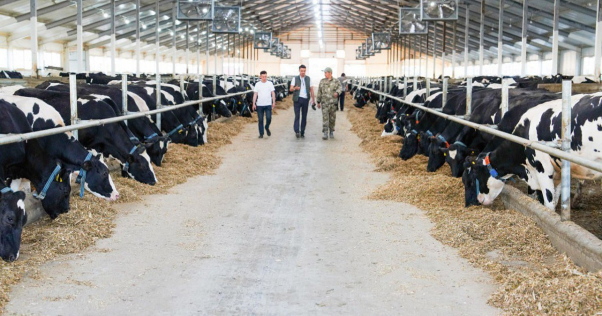 Қазақстанда шаруалар үшін жеңілдікпен кредит беріледі