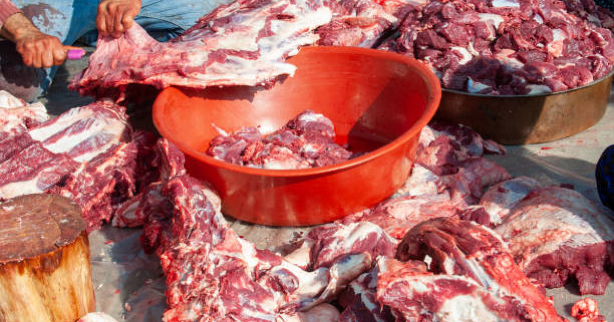 "Қазақтар бұрын сиыр етін жемеген": Тарихшы қазақ халқының өмір салты туралы айтып берді