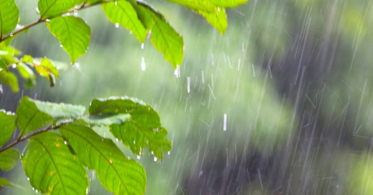 Найзағай ойнап, бұршақ жауады, дауыл тұрады: 12 шілдеге арналған ауа райы болжамы