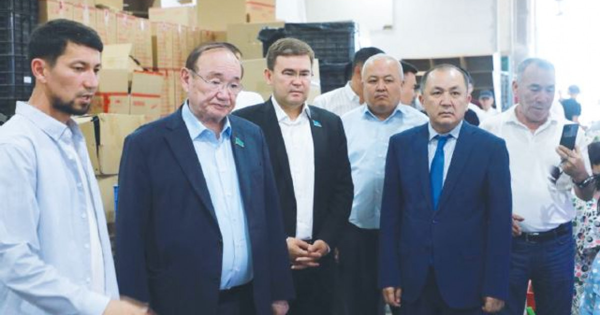 Өзекті мәселелер – Сенат мінберінде