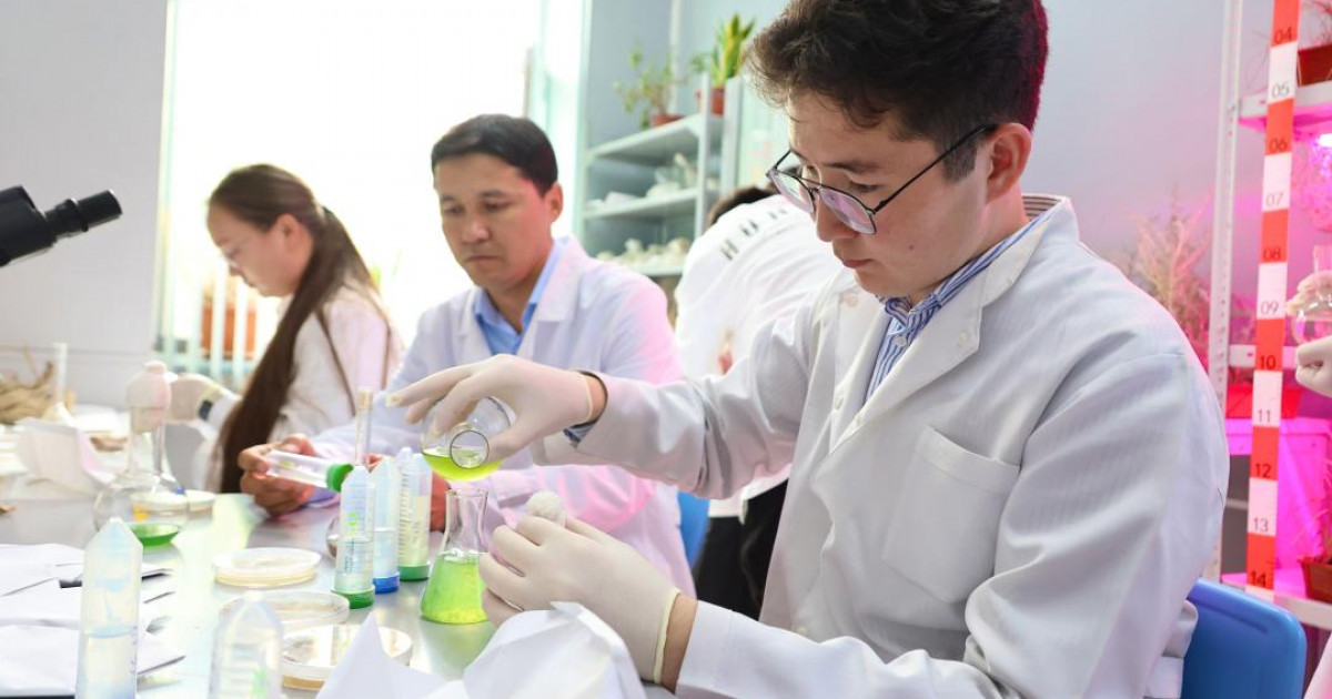 Satbayev University жас ғалымдары бұзылған аумақтарды қалпына келтірудің тың әдісін ұсынды