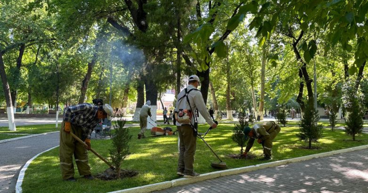 Шымкенттегі оң істер