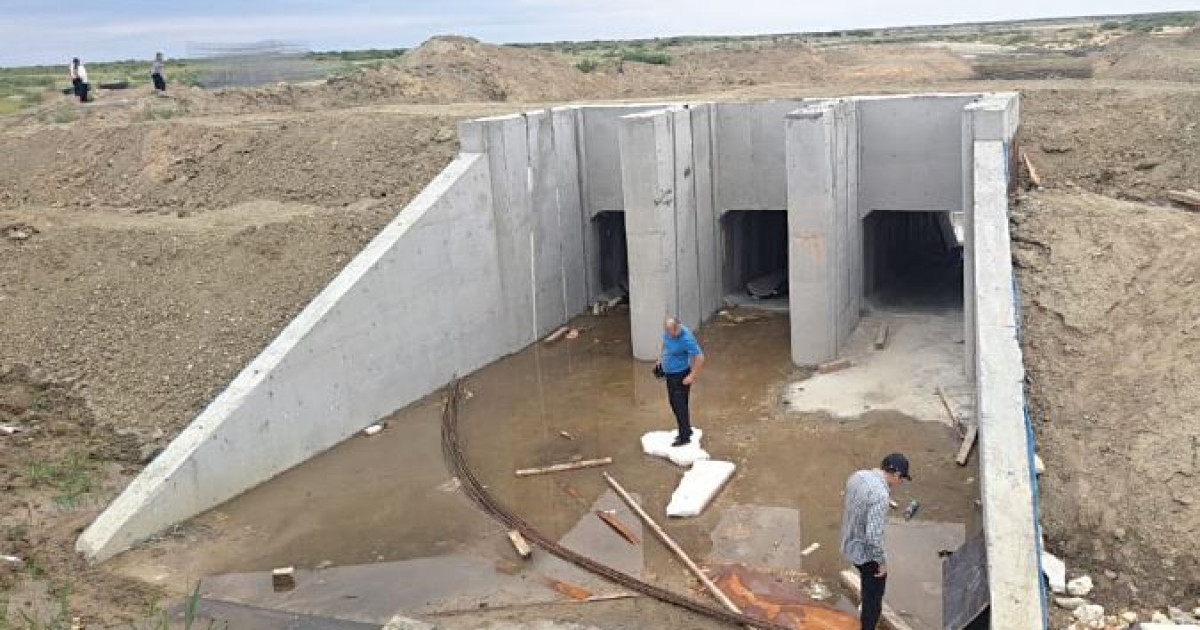 Теңіздегі тіршілік: балыққа да бап керек